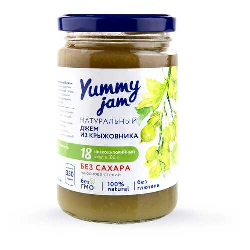 Джем Yummy jam из крыжовника без сахара 350 г в Да